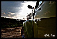 /album/martin-fajta/brouk-jpg/