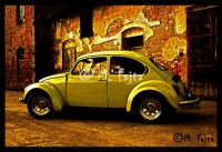 /album/martin-fajta/vw-jpg1/