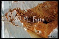 /album/martin-fajta/carrara-jpg1/