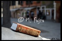 /album/martin-fajta/thora-jpg1/